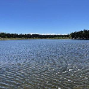 IMG_5992.jpeg