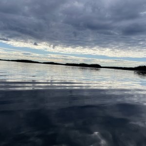 IMG_6003.jpeg