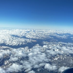 IMG_8348.jpeg