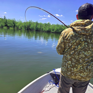 June 2026 Carp