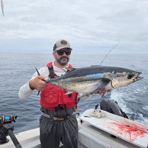 July 2025 albacore