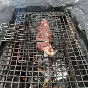 IMG_8390.jpeg