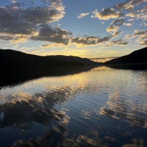 IMG_8411.jpeg