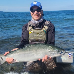 Wild Migratory Coho Salmon MA9