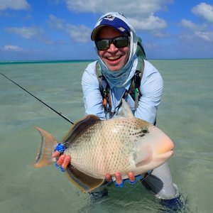 Yellowmargin Triggerfish