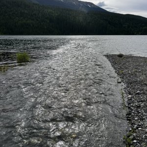 IMG_8431.jpeg