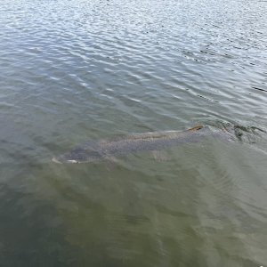 IMG_3433.jpeg