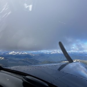 IMG_8526.jpeg
