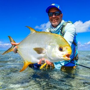 Indo-Pacific Permit (Trachinotus blochii)