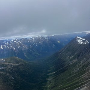 IMG_8529.jpeg
