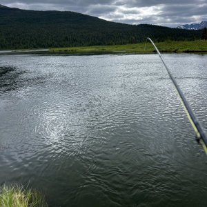 IMG_8531.jpeg