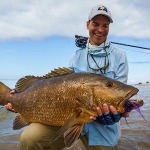 Cubera Snapper
