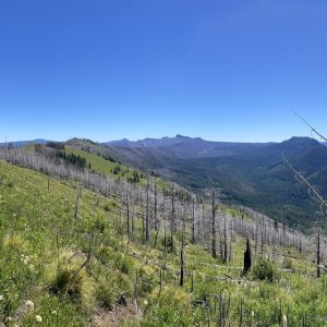 IMG_6083.jpeg
