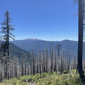 IMG_6093.jpeg