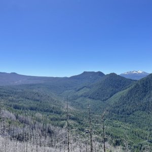 IMG_6065.jpeg