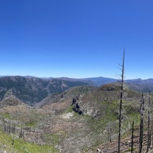 IMG_6089.jpeg