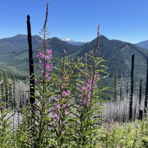 IMG_6104.jpeg