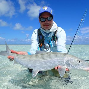 Bonefish