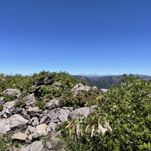 IMG_6091.jpeg
