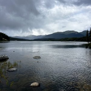 IMG_8563.jpeg