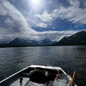 IMG_8564.jpeg