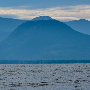 DSC_7106.jpeg