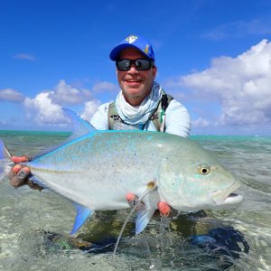 Bluefin Trevally