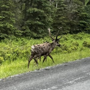 IMG_8569.jpeg
