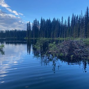 IMG_5152.jpeg