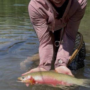 IMG_E4530.JPG