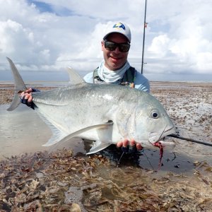 Giant Trevally