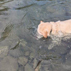 PXL 20260723 015510671