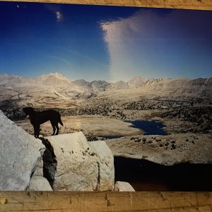 IMG_6157.jpeg