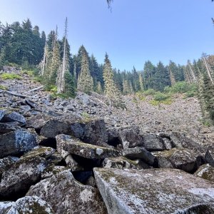 IMG_7391.jpeg