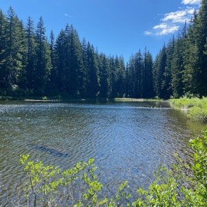 IMG_5041.jpeg