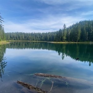 IMG_5519.jpeg