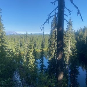 IMG_5549.jpeg