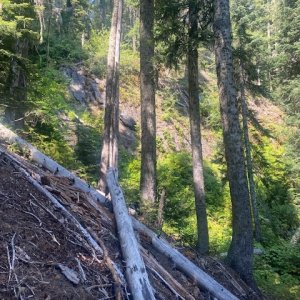 IMG_5569.jpeg