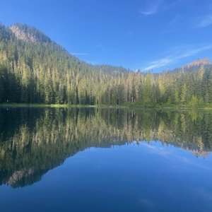 IMG_5615.jpeg