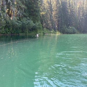 IMG_5634.jpeg