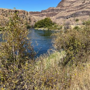 IMG_4537.jpeg
