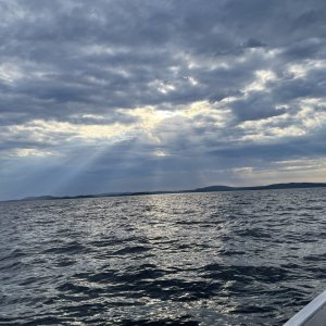 IMG_6278.jpeg