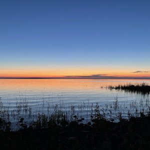 IMG_6241.jpeg