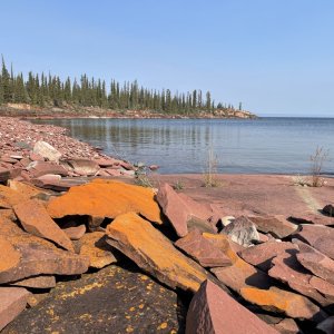 IMG_6248.jpeg