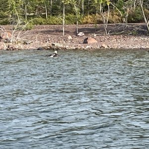 IMG_6297.jpeg