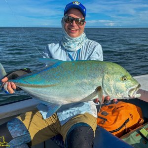 Bluefin Trevally
