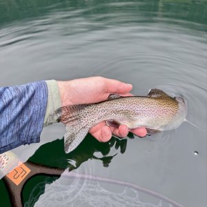 IMG_7802.jpeg
