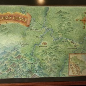 Pluma4.jpg