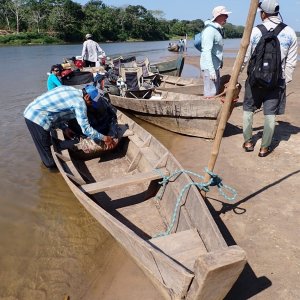 Pluma5.jpg