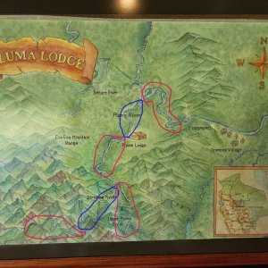 Pluma18.jpg